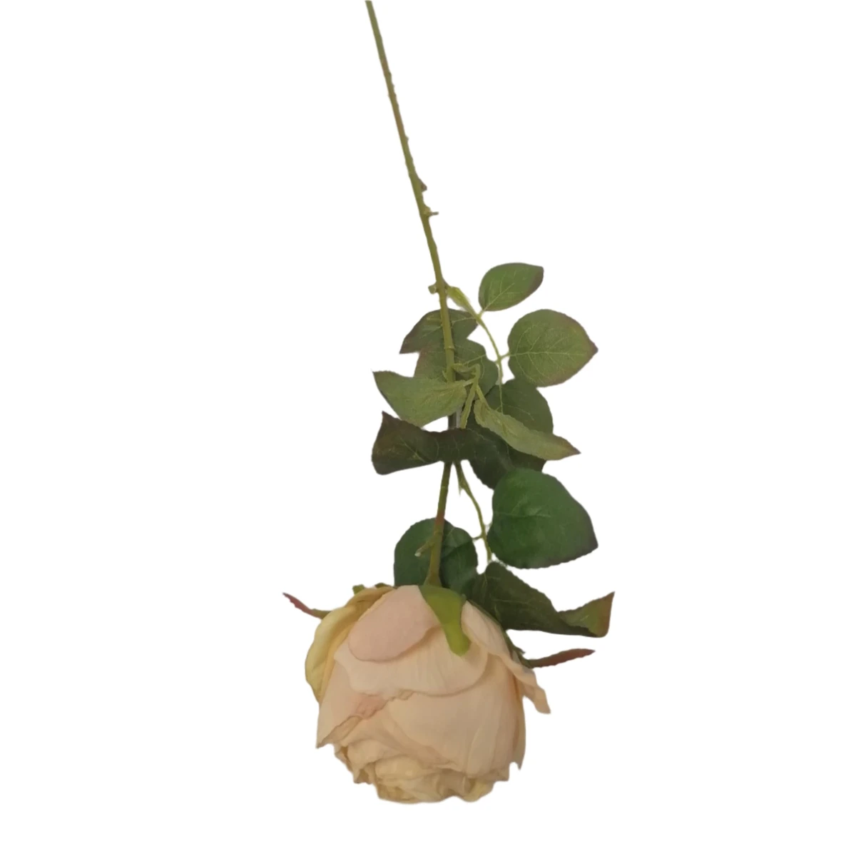 Artificial Rose on stem 75cm - Off white